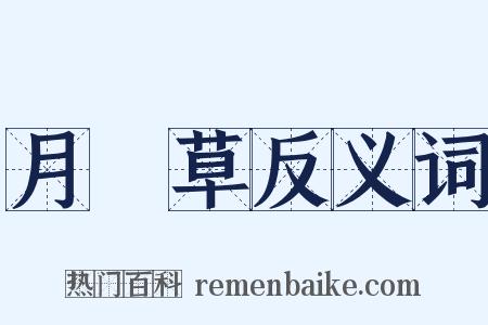 月見草反义词是什么意思的图片